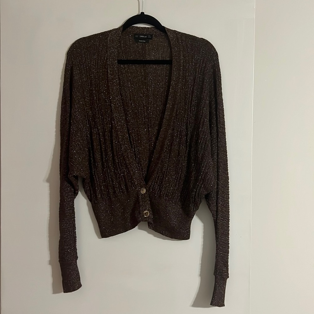 Zara Cardigan
